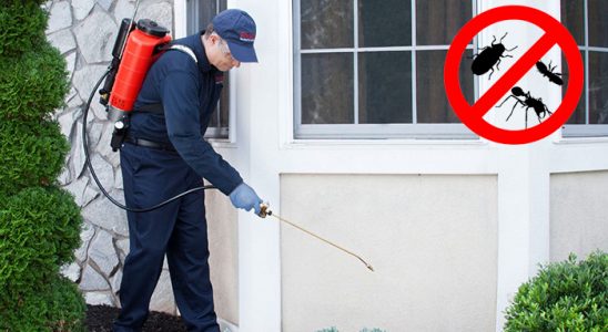 Yenimahalle Dezenfeksiyon böcek ilaçlama ve haşere kontrolü — ilaclama-tr.com